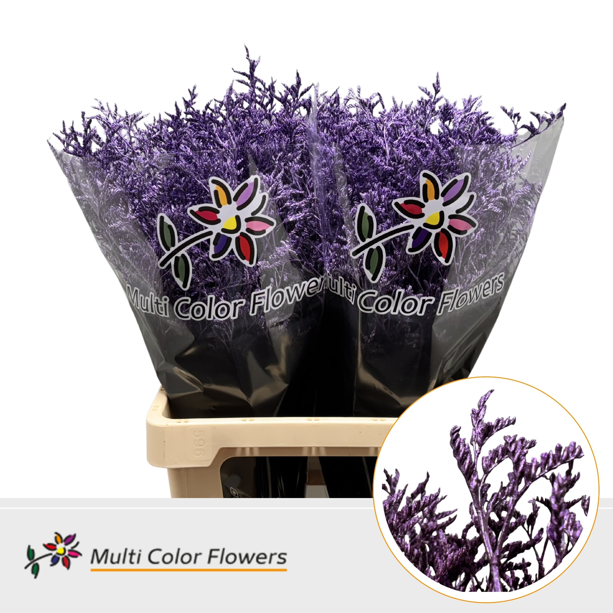 Срезанные цветы оптом Limonium paint metallic milka от 50шт. из Голландии с доставкой по России