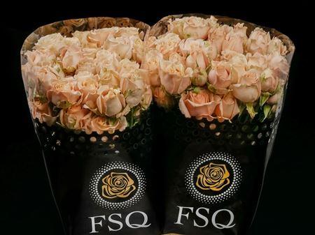 Срезанные цветы оптом Rosa spray sahara sensation от 40шт из Голландии с доставкой по России