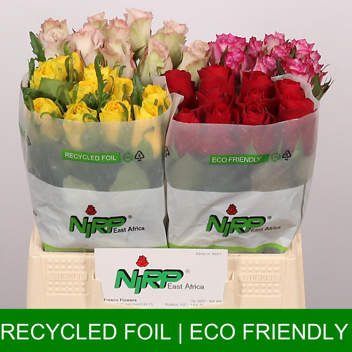 Срезанные цветы оптом Rosa large mix in bucket от 40шт из Голландии с доставкой по России