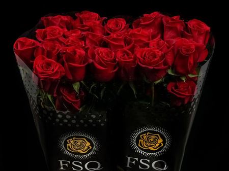 Срезанные цветы оптом Rosa ec freedom от 40шт из Голландии с доставкой по России