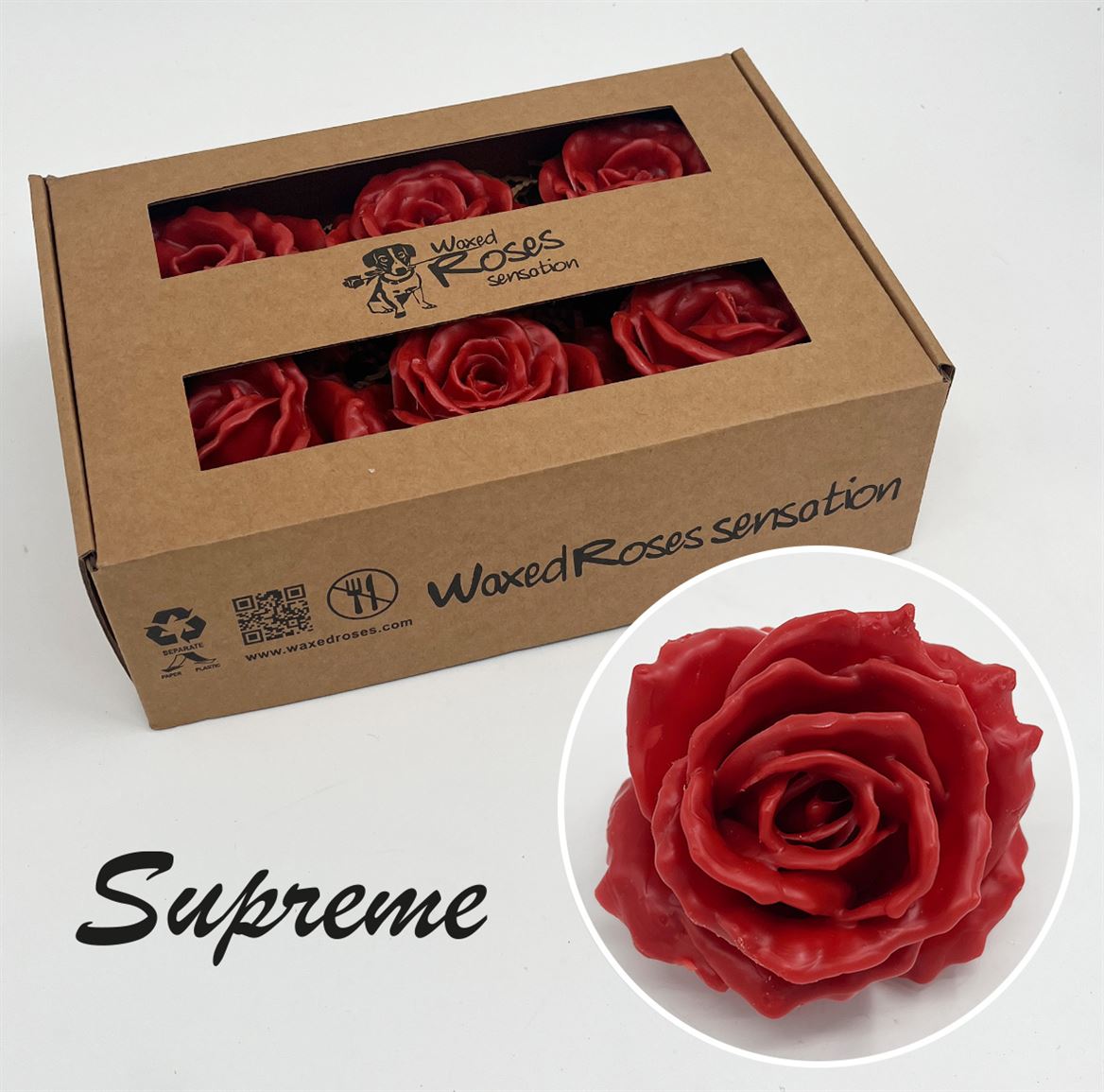 Срезанные цветы оптом Rosa large silk wax caramel от 6шт из Голландии с доставкой по России