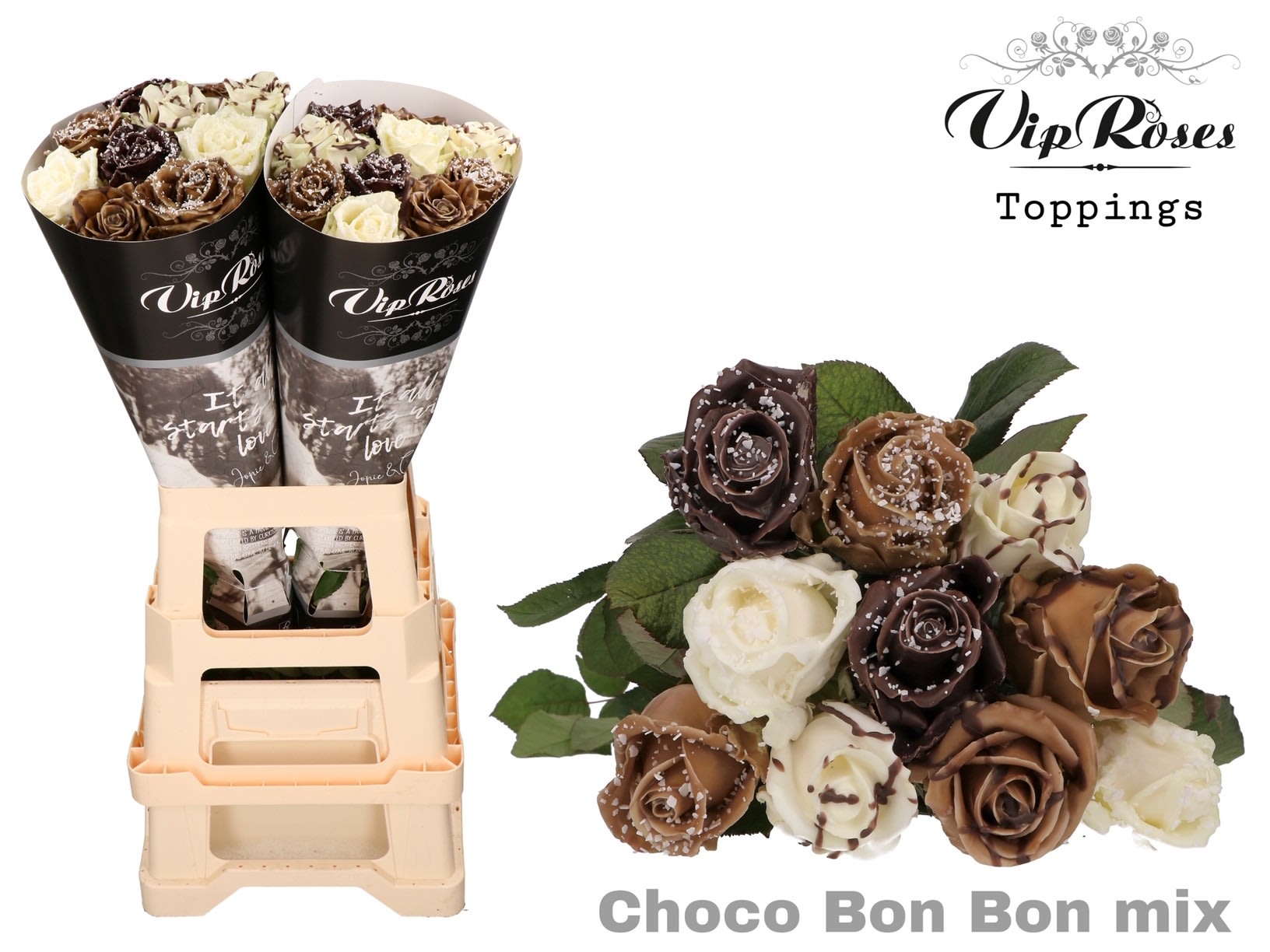 Срезанные цветы оптом Rosa large paint choco bonbon mix от 20шт из Голландии с доставкой по России