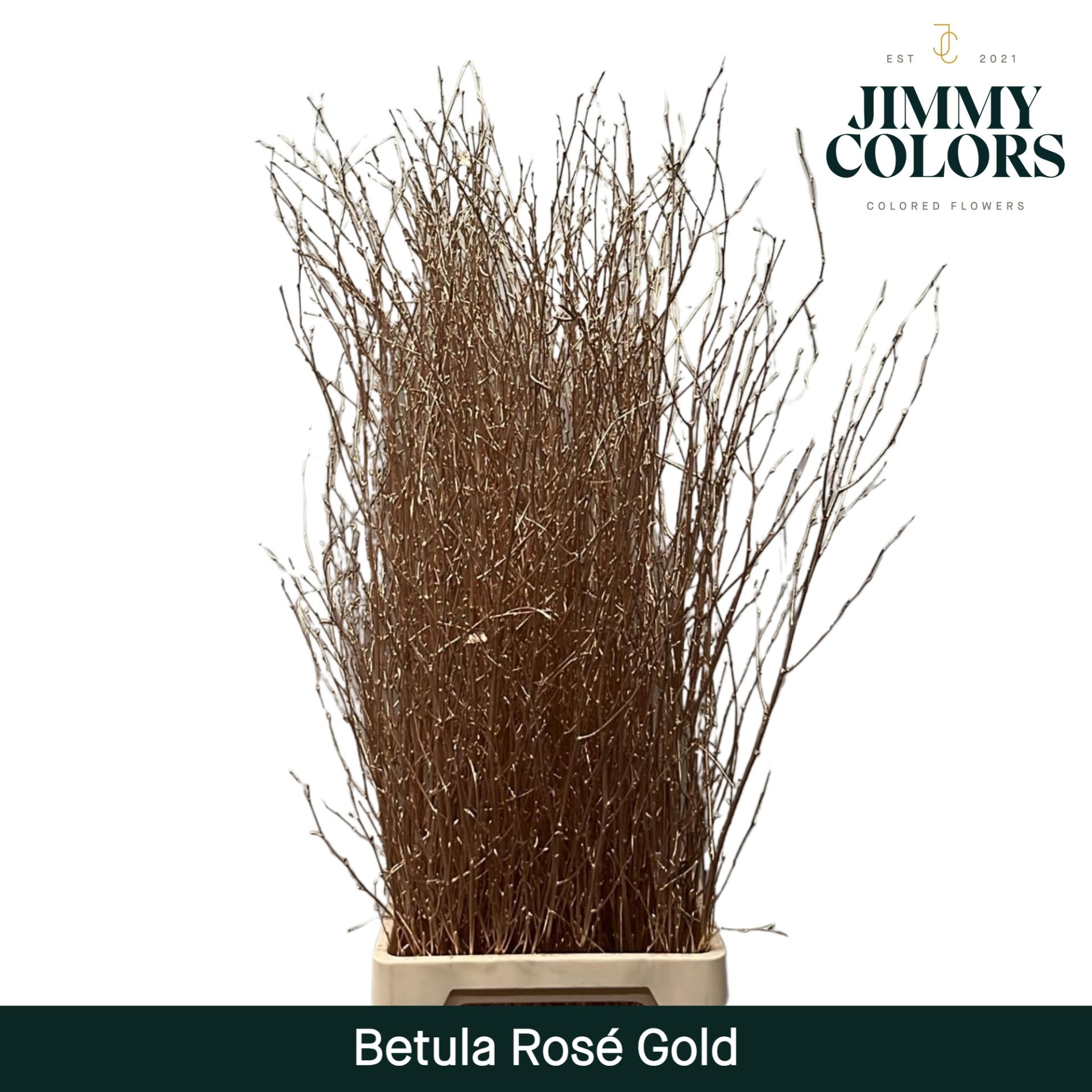 Срезанные цветы оптом Betula paint metallic pink gold от 10шт из Голландии с доставкой по России