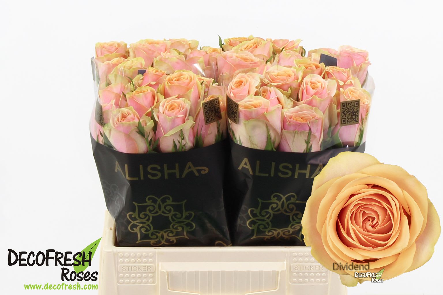 Срезанные цветы оптом Rosa large dividend от 40шт из Голландии с доставкой по России