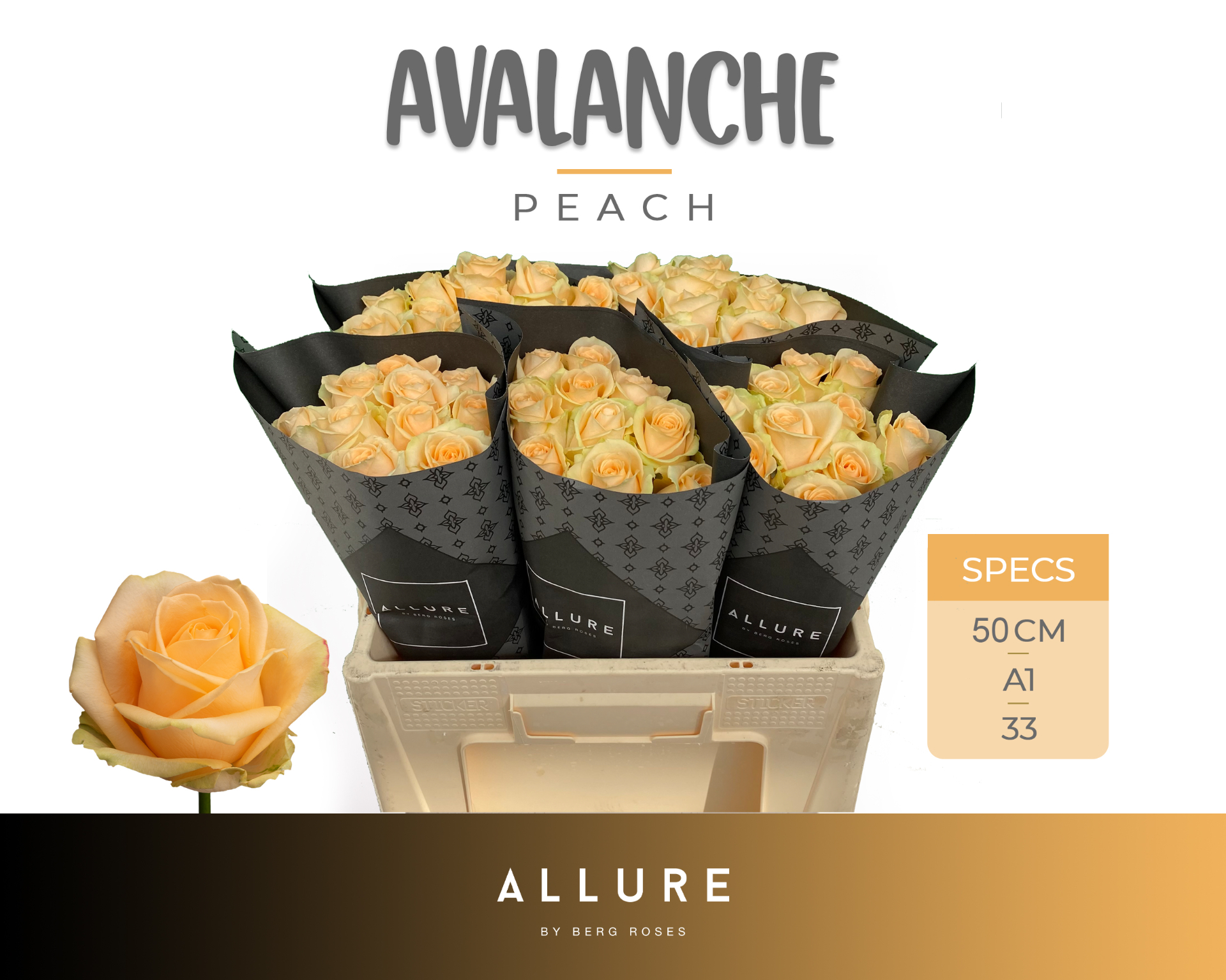 Срезанные цветы оптом Rosa large peach avalanche+ Allure от 50шт из Голландии с доставкой по России