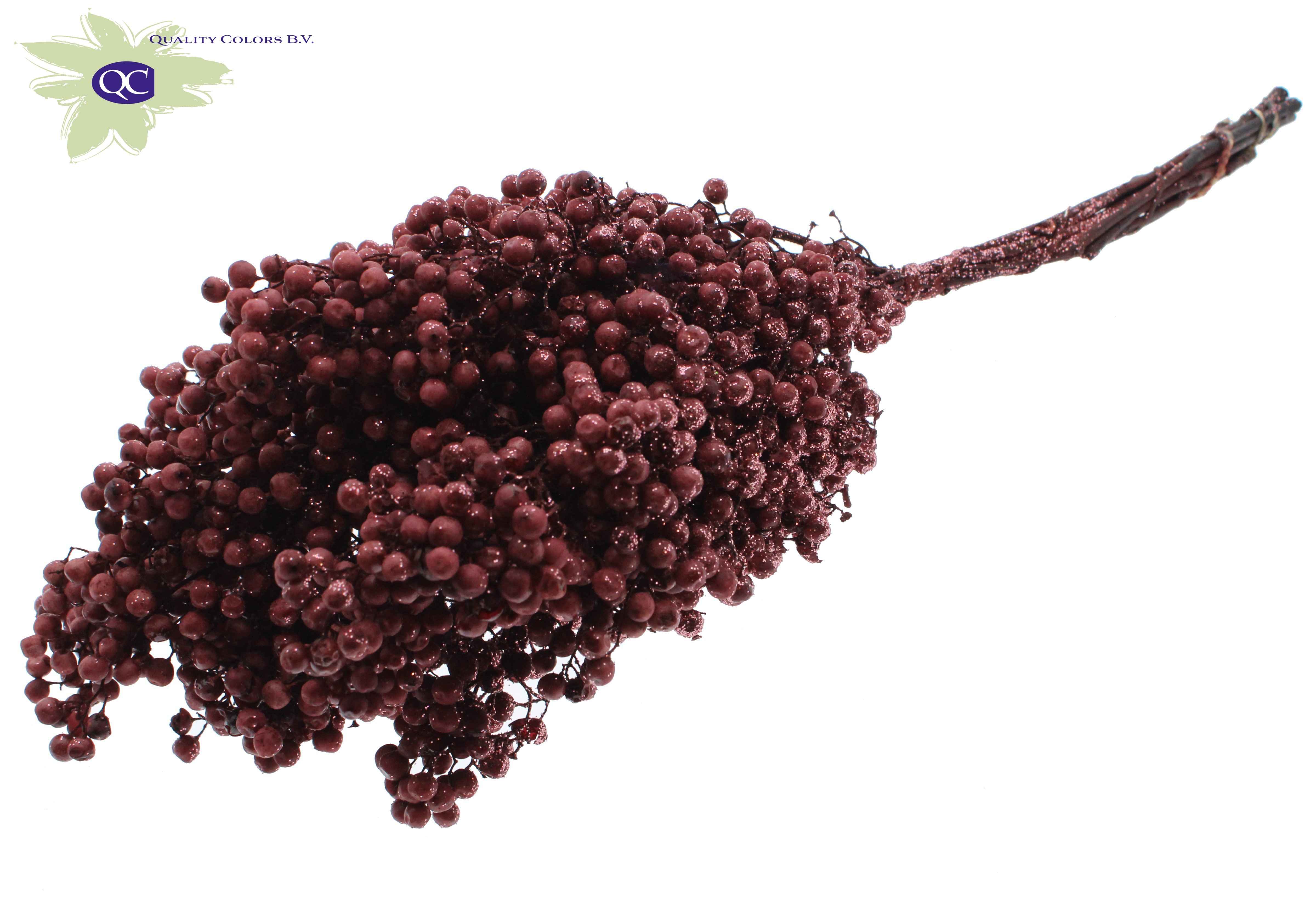 Срезанные цветы оптом Pepperberries per bunch in poly burgundy + glitter от 5шт из Голландии с доставкой по России