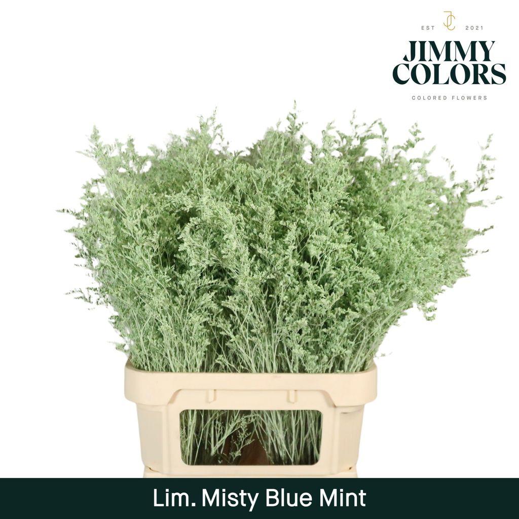 Срезанные цветы оптом Limonium misty blue paint mintgreen от 50шт из Голландии с доставкой по России
