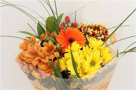 Срезанные цветы оптом Bouquet micro orange от 10шт из Голландии с доставкой по России