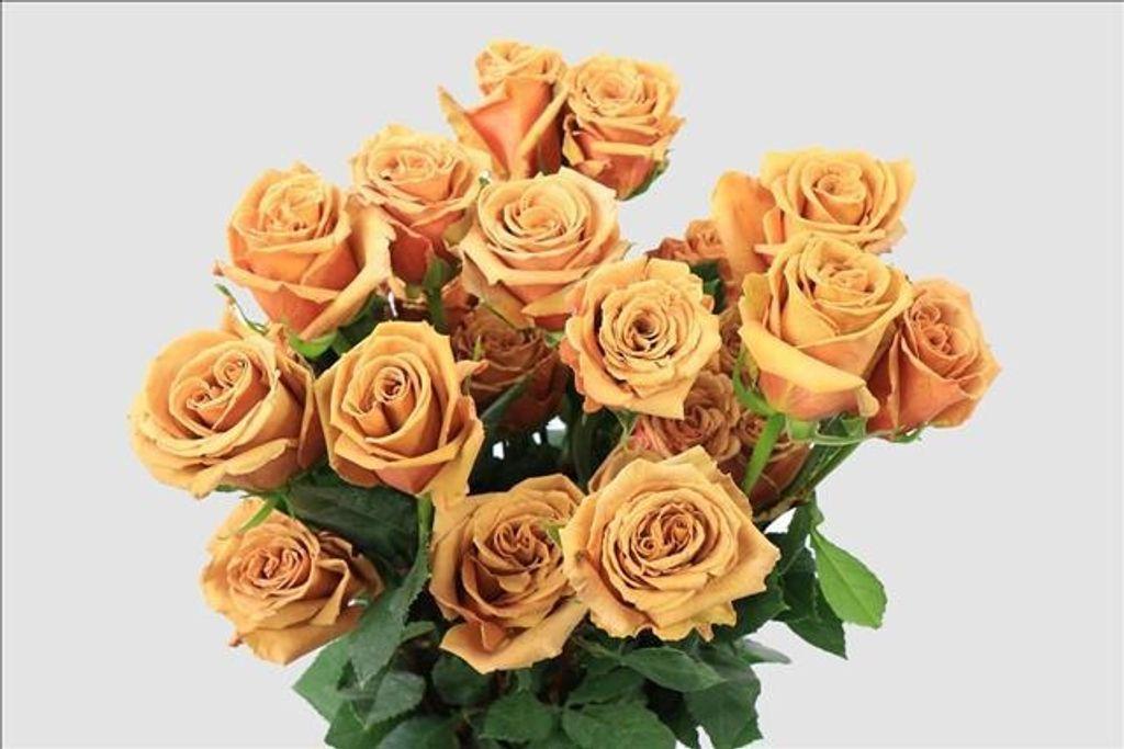 Срезанные цветы оптом Rosa ec toffee от 50шт из Голландии с доставкой по России