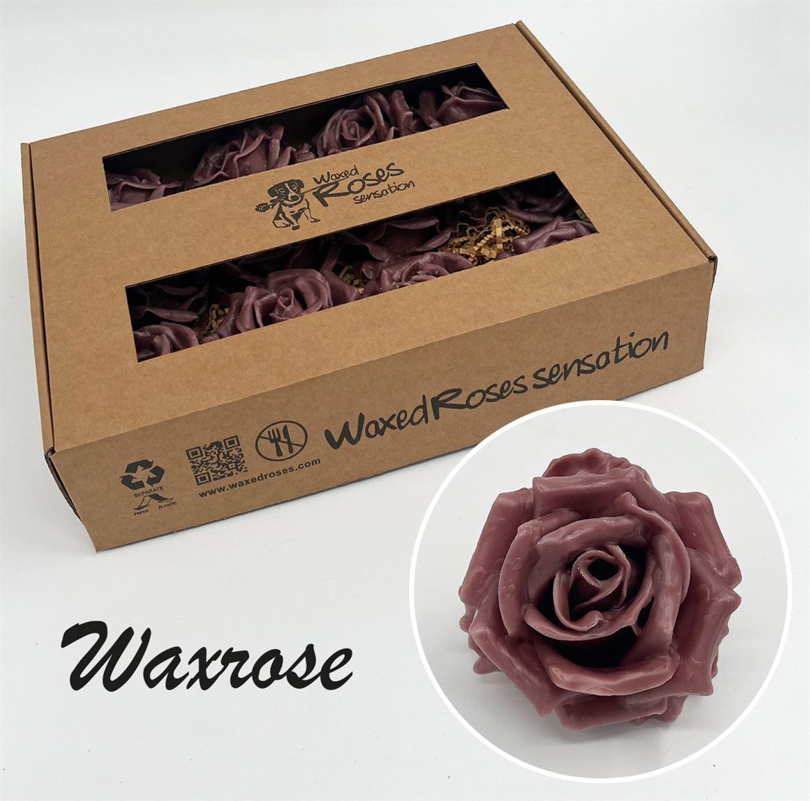 Срезанные цветы оптом Rosa large silk wax brown от 12шт из Голландии с доставкой по России