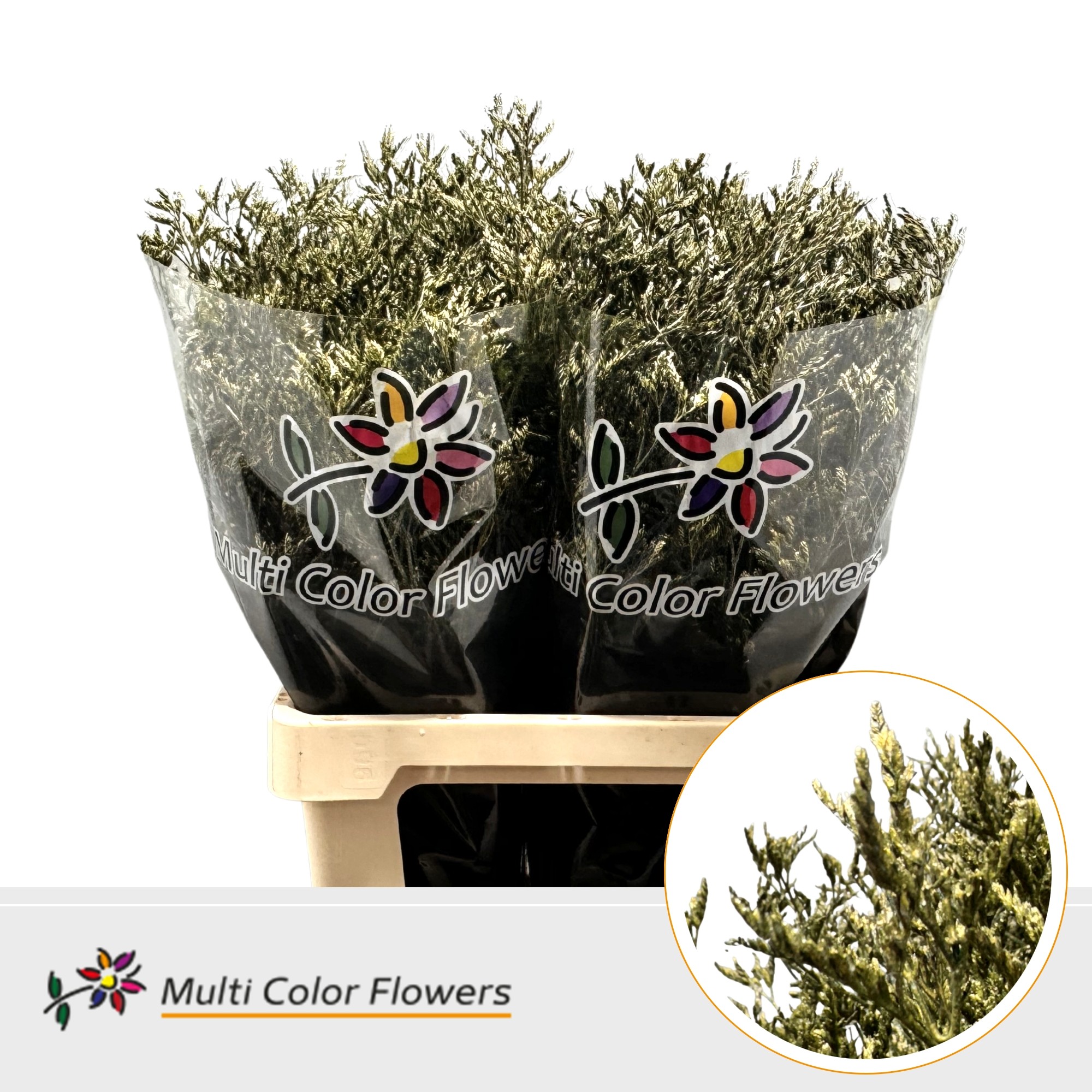 Срезанные цветы оптом Limonium paint metallic green olive от 50шт из Голландии с доставкой по России