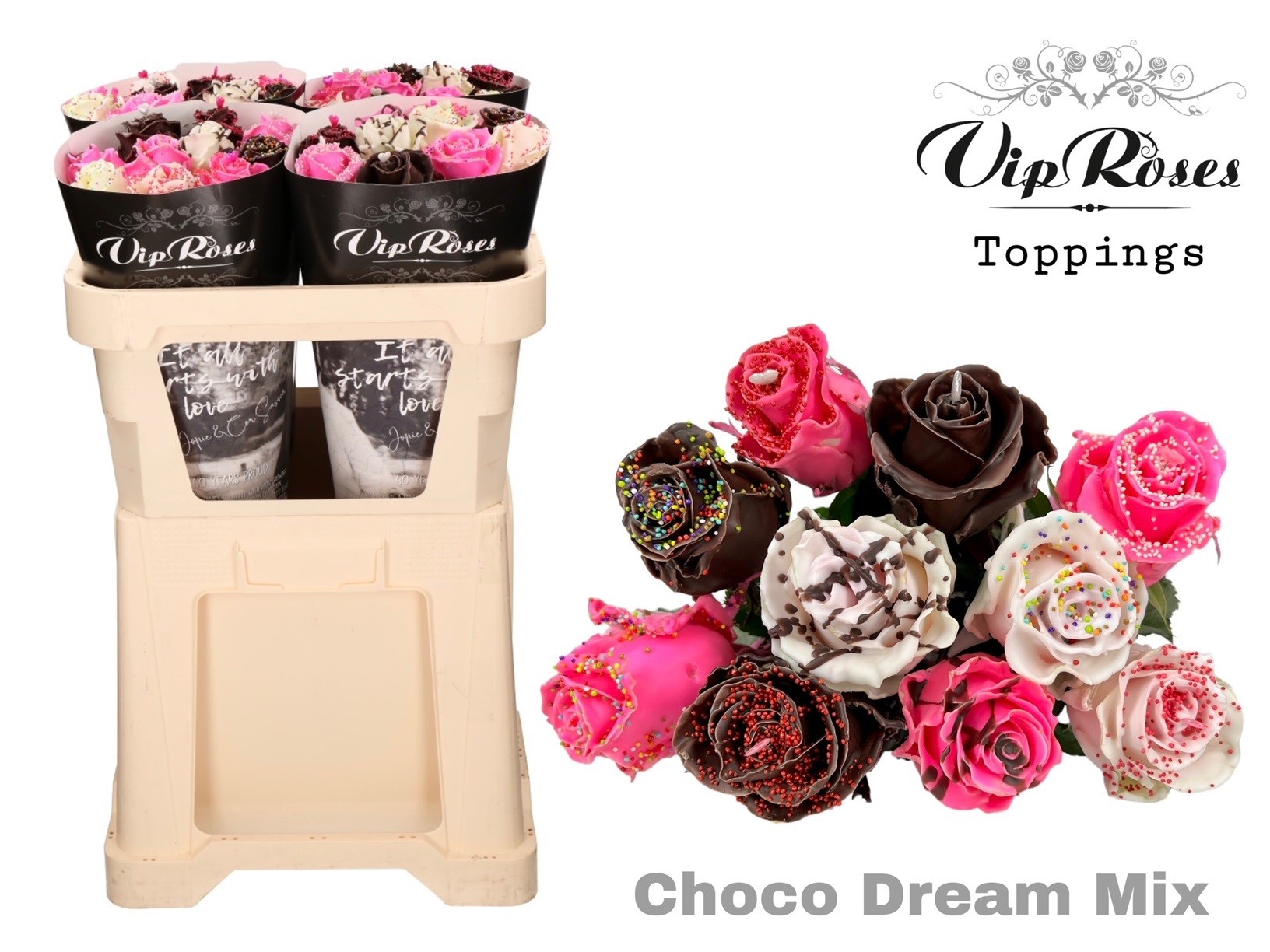 Срезанные цветы оптом Rosa large paint choco dream mix (R310) от 40шт. из Голландии с доставкой по России