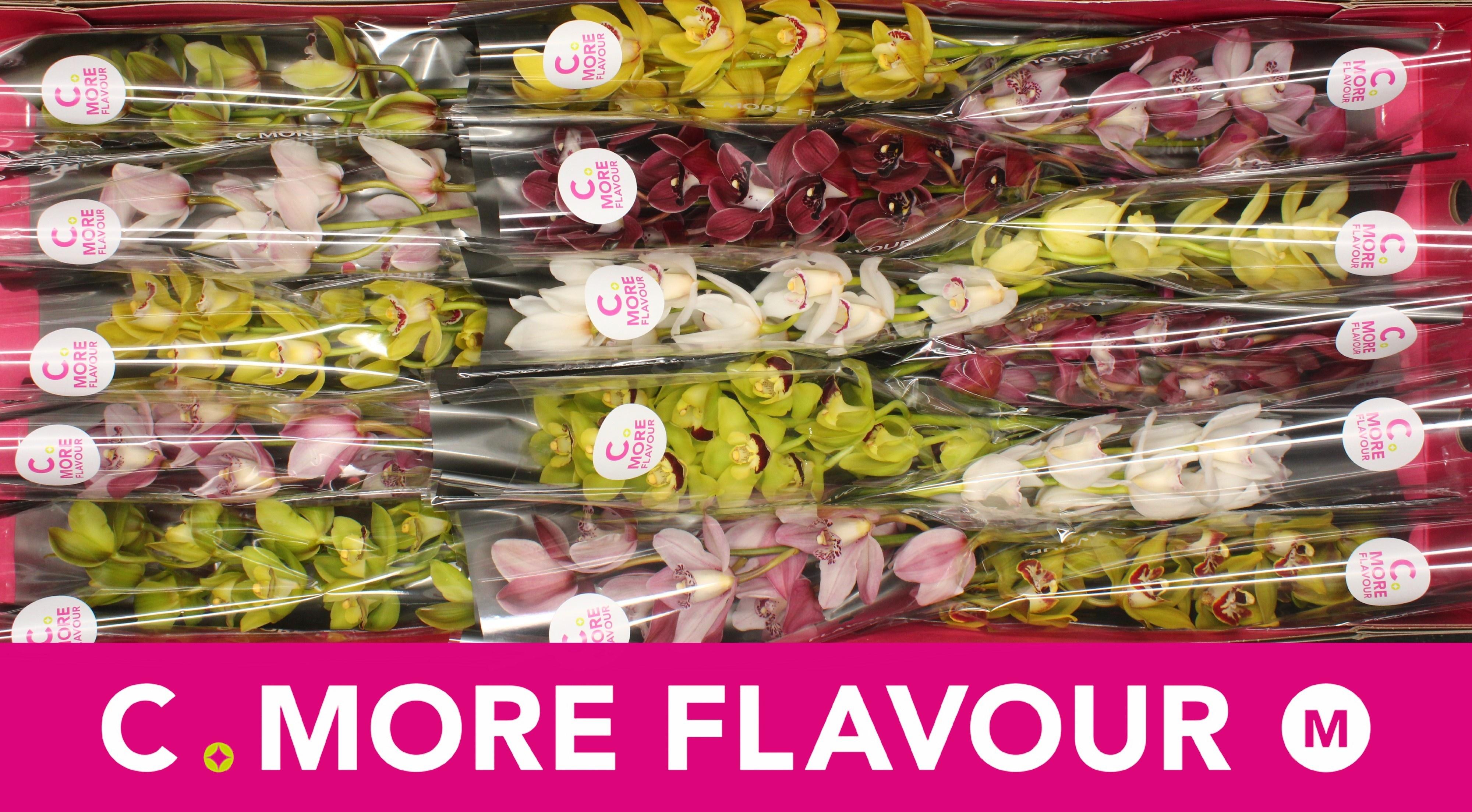 Срезанные цветы оптом Minicymbidium mix от 15шт из Голландии с доставкой по России