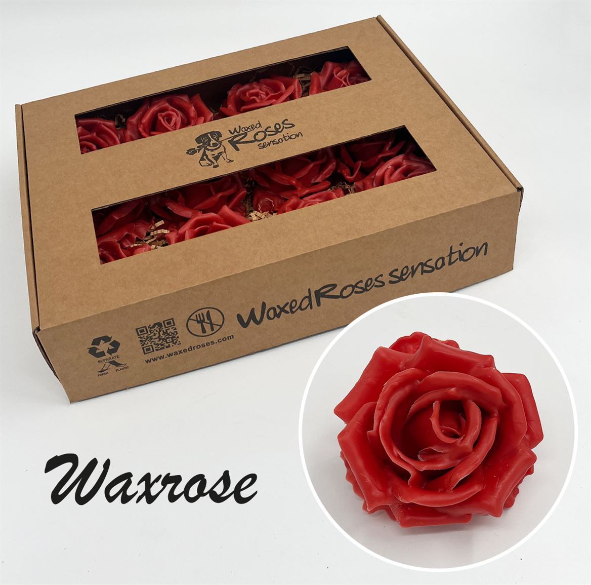 Срезанные цветы оптом Rosa large silk wax caramel от 12шт из Голландии с доставкой по России