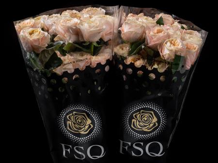 Срезанные цветы оптом Rosa garden melon expression от 40шт из Голландии с доставкой по России