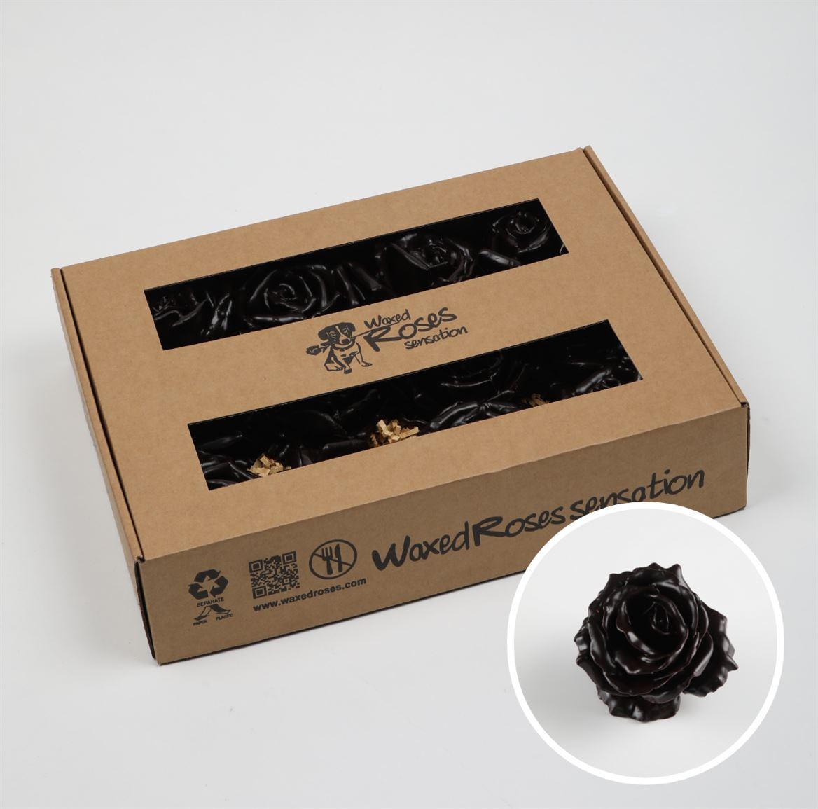 Срезанные цветы оптом Rosa large silk wax choccola от 12шт из Голландии с доставкой по России