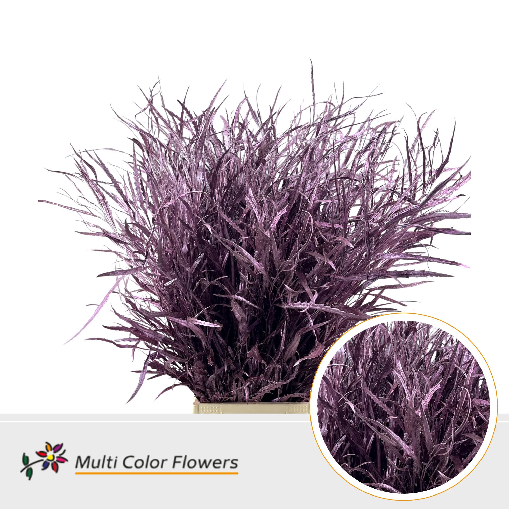 Срезанные цветы оптом Grevillea paint metallic pink от 10шт из Голландии с доставкой по России