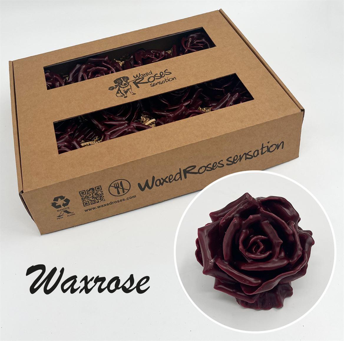 Срезанные цветы оптом Rosa large silk wax bordeaux от 12шт из Голландии с доставкой по России
