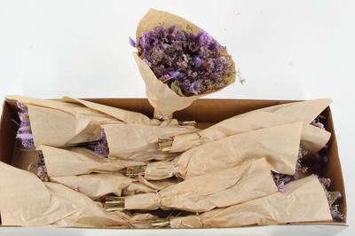 Срезанные цветы оптом DF BOUQUET LAVENDER 50CM от 10шт из Голландии с доставкой по России