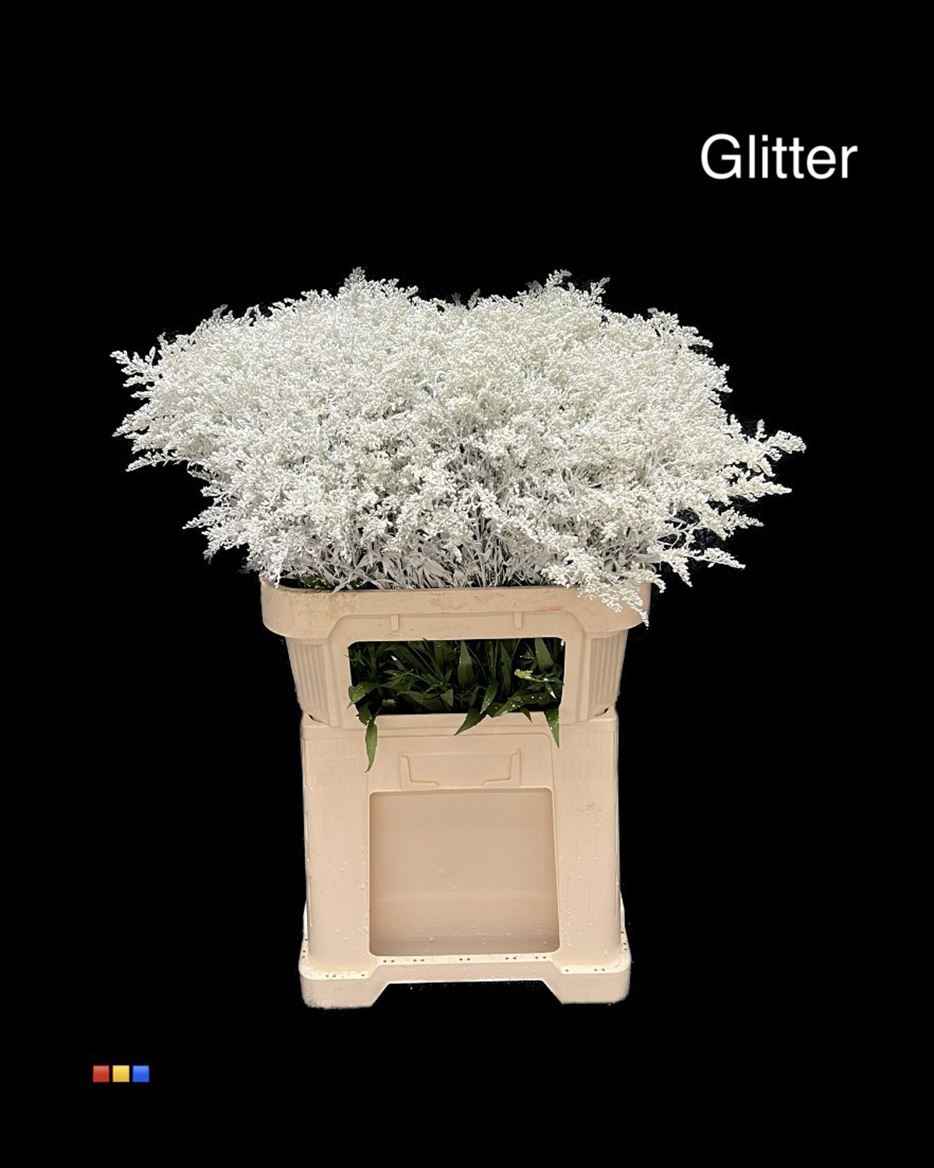 Срезанные цветы оптом Solidago paint white + pearl glitter от 100шт из Голландии с доставкой по России