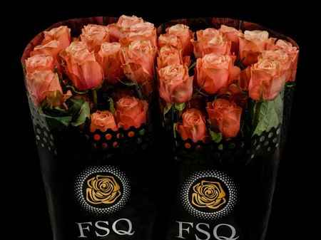 Срезанные цветы оптом Rosa ec kahala от 40шт из Голландии с доставкой по России