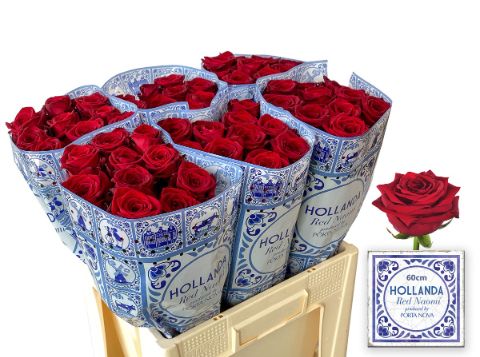 Срезанные цветы оптом Rosa large red naomi! Hollanda от 60шт из Голландии с доставкой по России