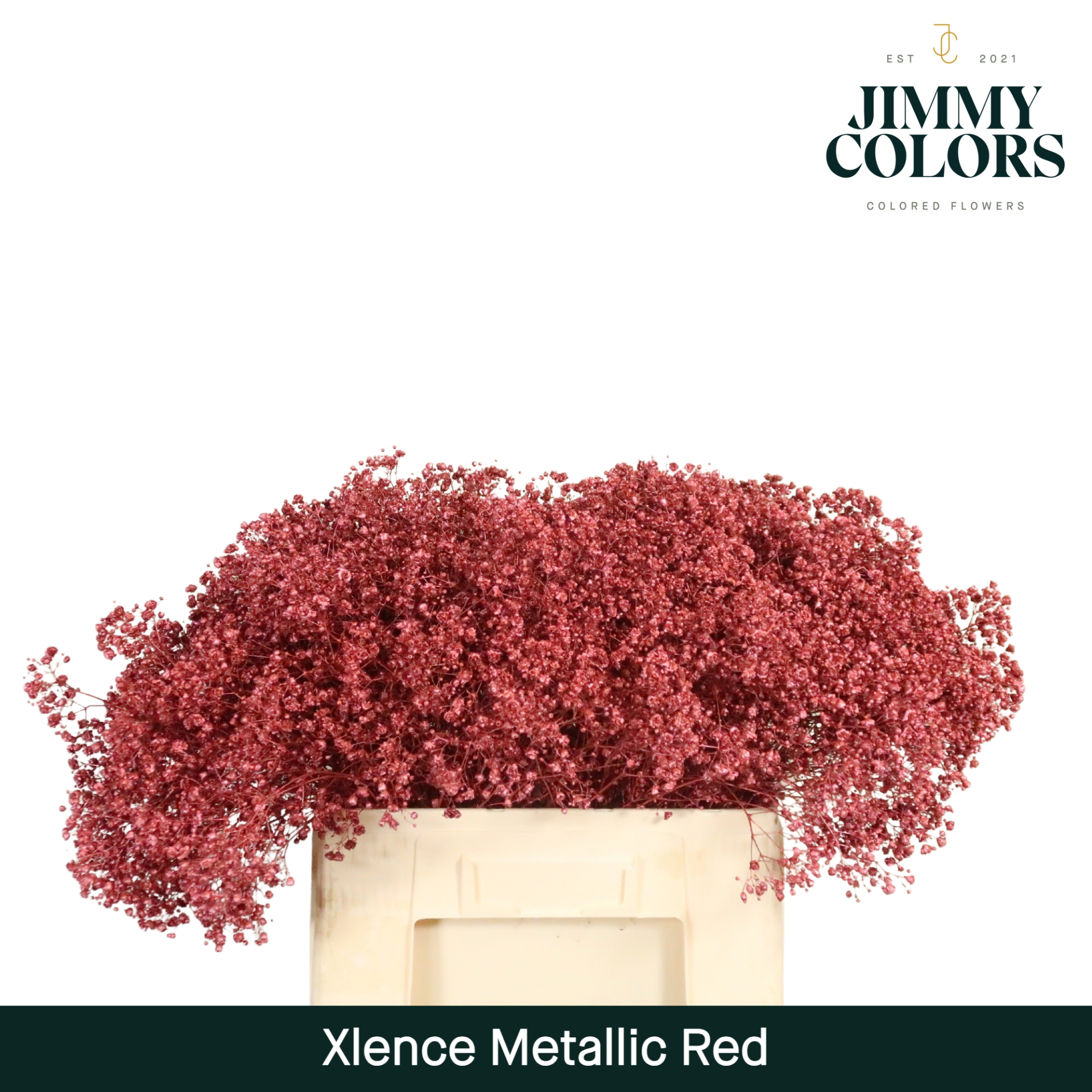 Срезанные цветы оптом Gyps large paint metallic red от 25шт из Голландии с доставкой по России