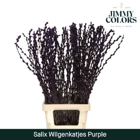 Срезанные цветы оптом Salix paint pussy willow purple от 50шт из Голландии с доставкой по России