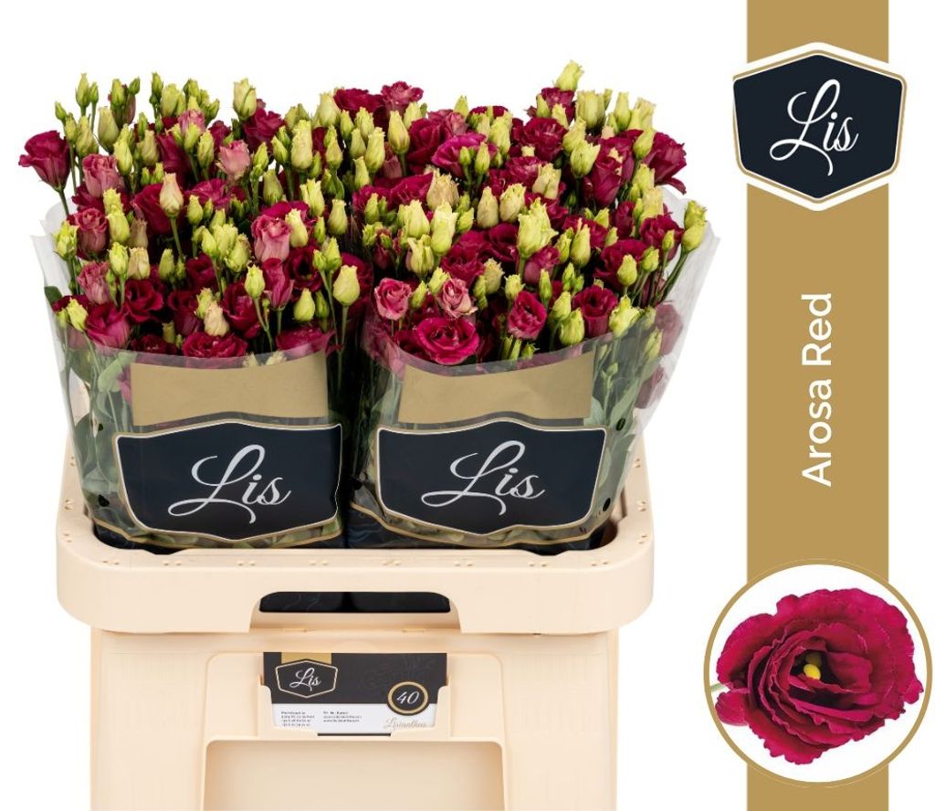 Срезанные цветы оптом Lisianthus do arosa red от 40шт... из Голландии с доставкой по России