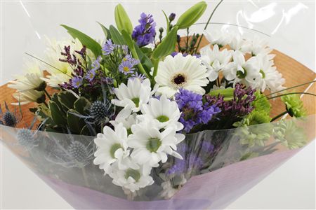 Срезанные цветы оптом Bouquet biedermeier blue от 5шт из Голландии с доставкой по России
