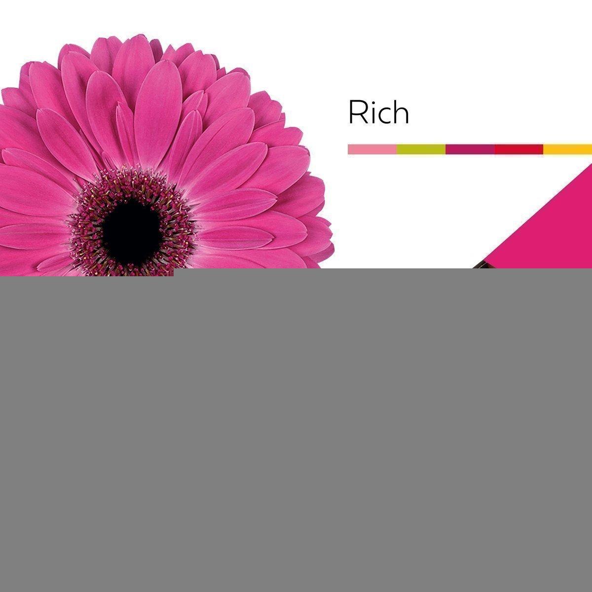 Срезанные цветы оптом Gerbera rich от 25шт из Голландии с доставкой по России