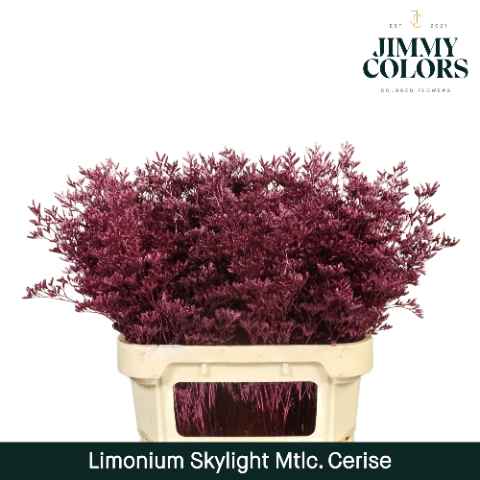 Срезанные цветы оптом Limonium skylight paint metallic cerise от 25шт из Голландии с доставкой по России