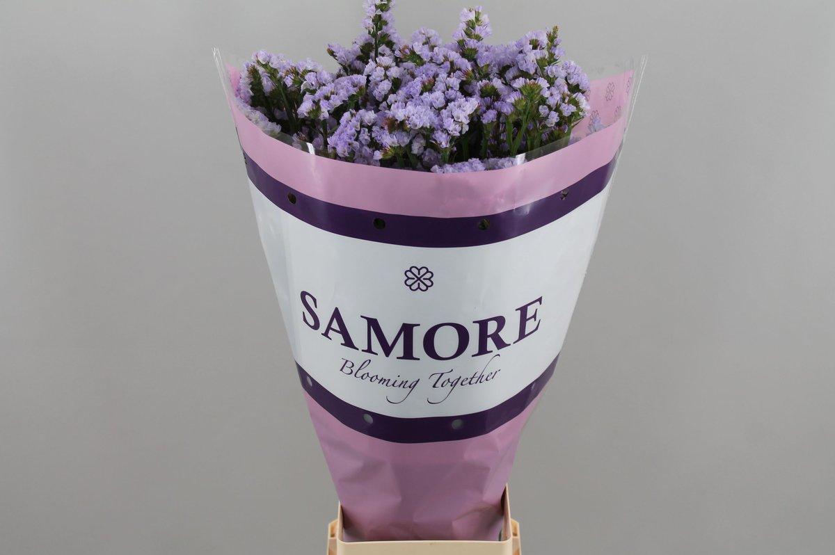 Срезанные цветы оптом Statice donau birds от 25шт из Голландии с доставкой по России