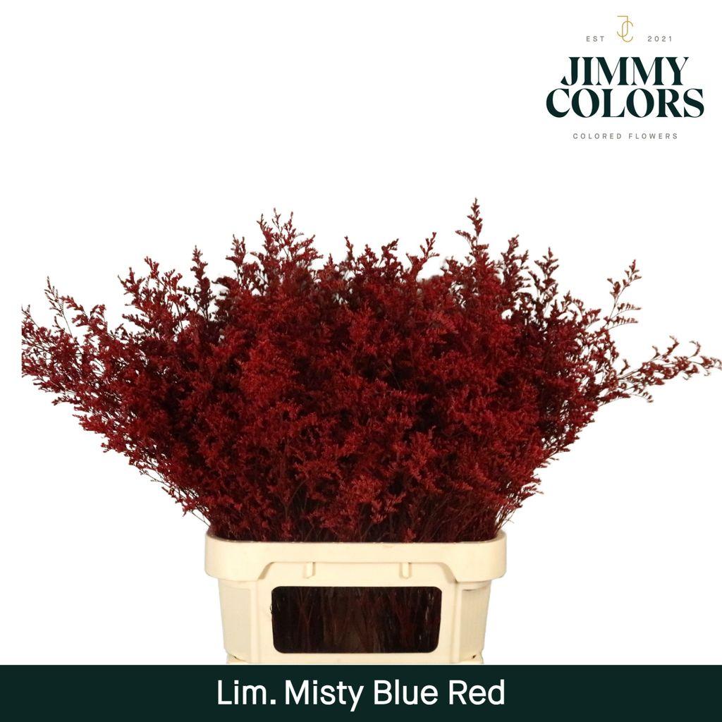 Срезанные цветы оптом Limonium misty blue paint red от 50шт из Голландии с доставкой по России