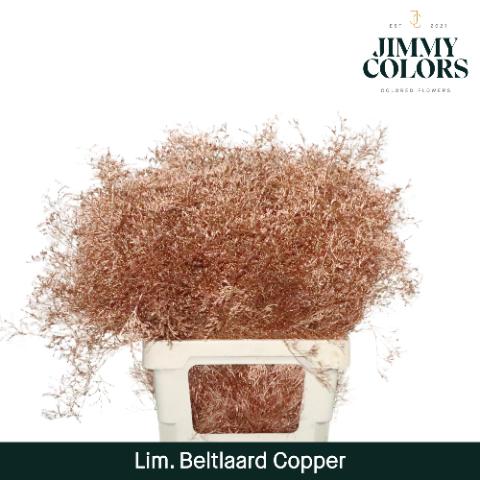 Срезанные цветы оптом Limonium beltlaard paint metallic copper от 50шт из Голландии с доставкой по России