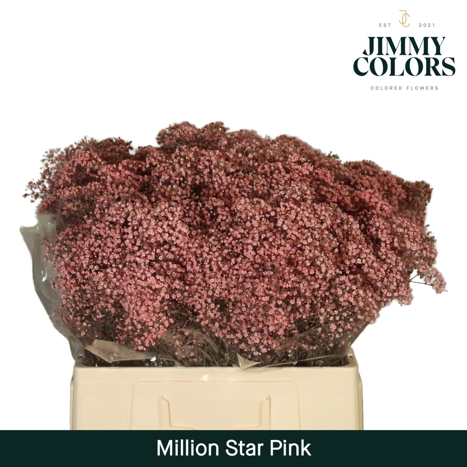Срезанные цветы оптом Gyps fine paint pink от 25шт из Голландии с доставкой по России