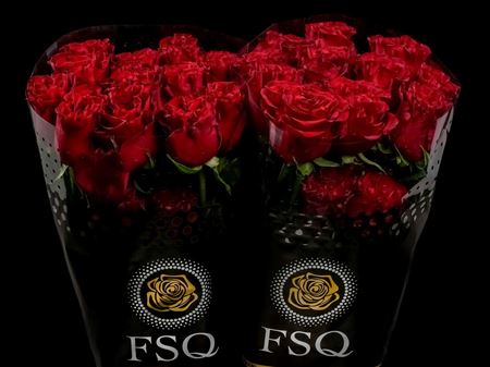 Срезанные цветы оптом Rosa ec hearts от 40шт из Голландии с доставкой по России