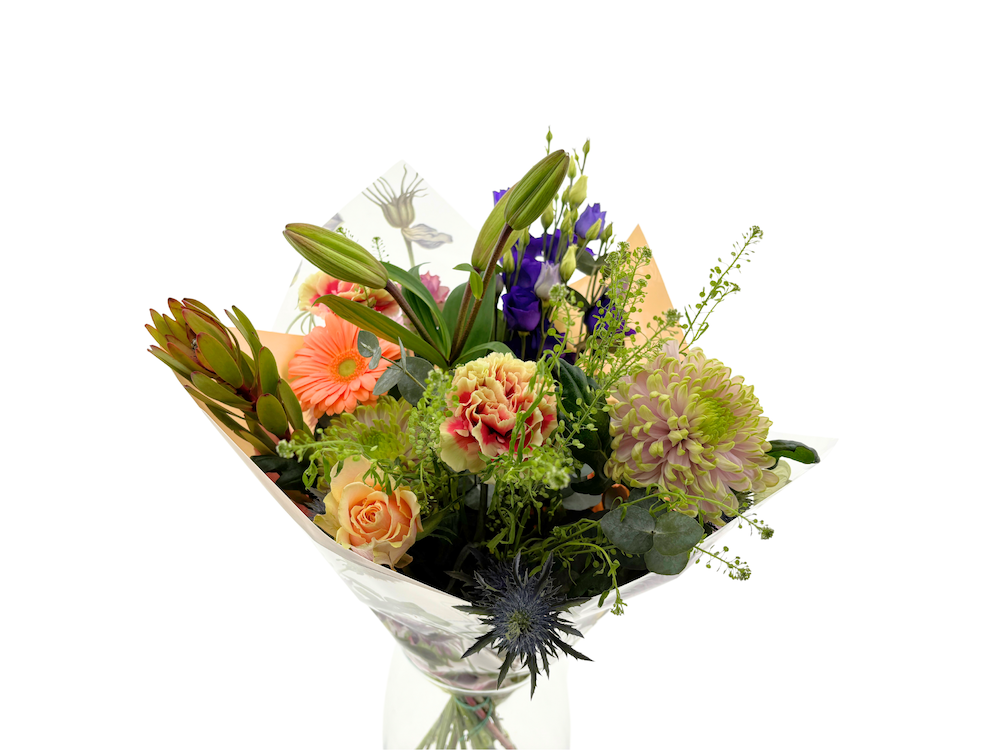 Срезанные цветы оптом BQ Field Jacky от 3шт из Голландии с доставкой по России