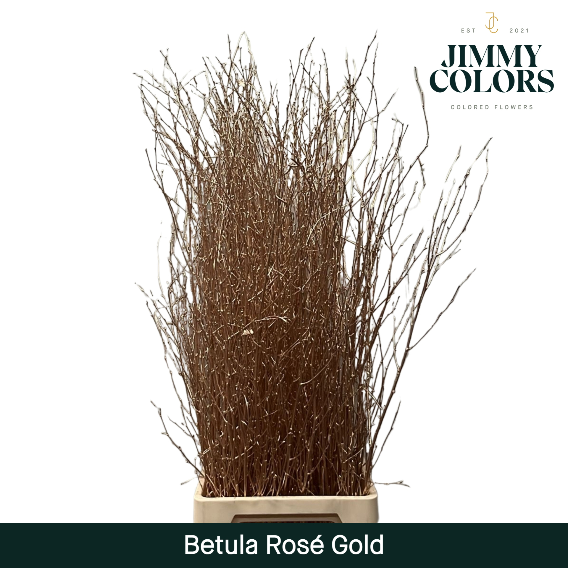 Срезанные цветы оптом Betula paint metallic pink gold от 10шт из Голландии с доставкой по России