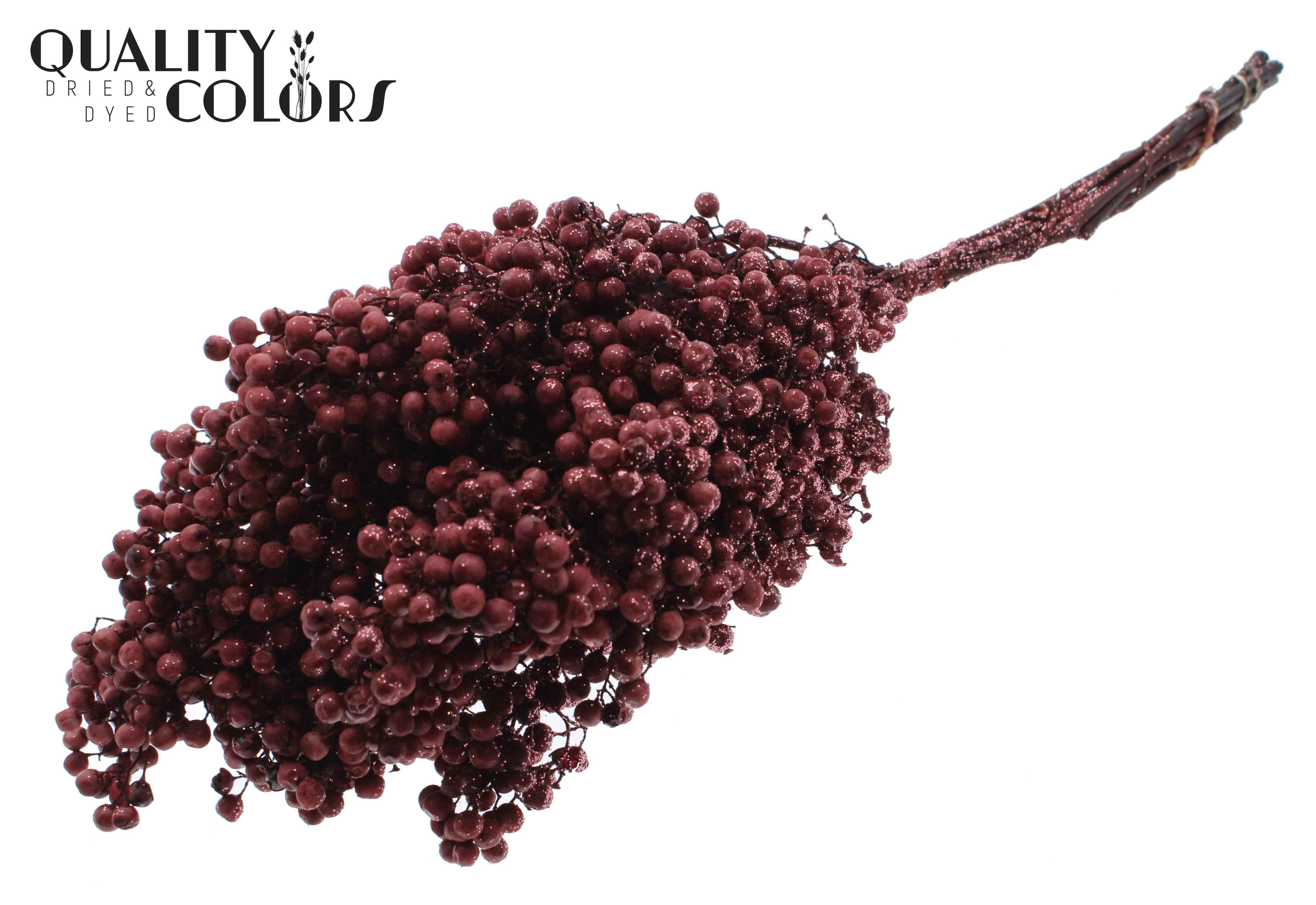 Срезанные цветы оптом Pepperberries per bunch in poly burgundy + glitter от 5шт из Голландии с доставкой по России