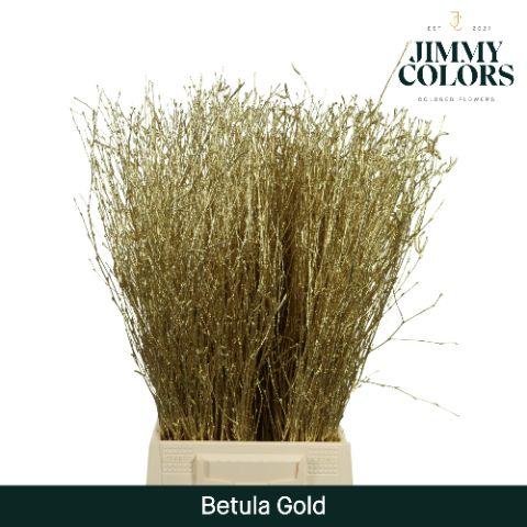 Срезанные цветы оптом Betula paint gold от 20шт из Голландии с доставкой по России