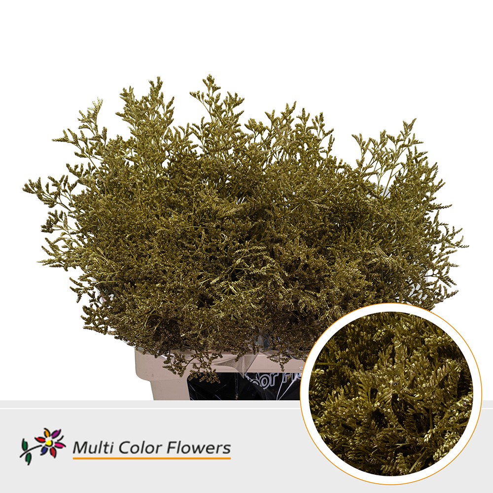 Срезанные цветы оптом Limonium paint gold от 50шт. из Голландии с доставкой по России