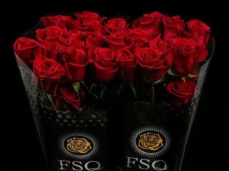 Срезанные цветы оптом Rosa ec freedom от 40шт. из Голландии с доставкой по России