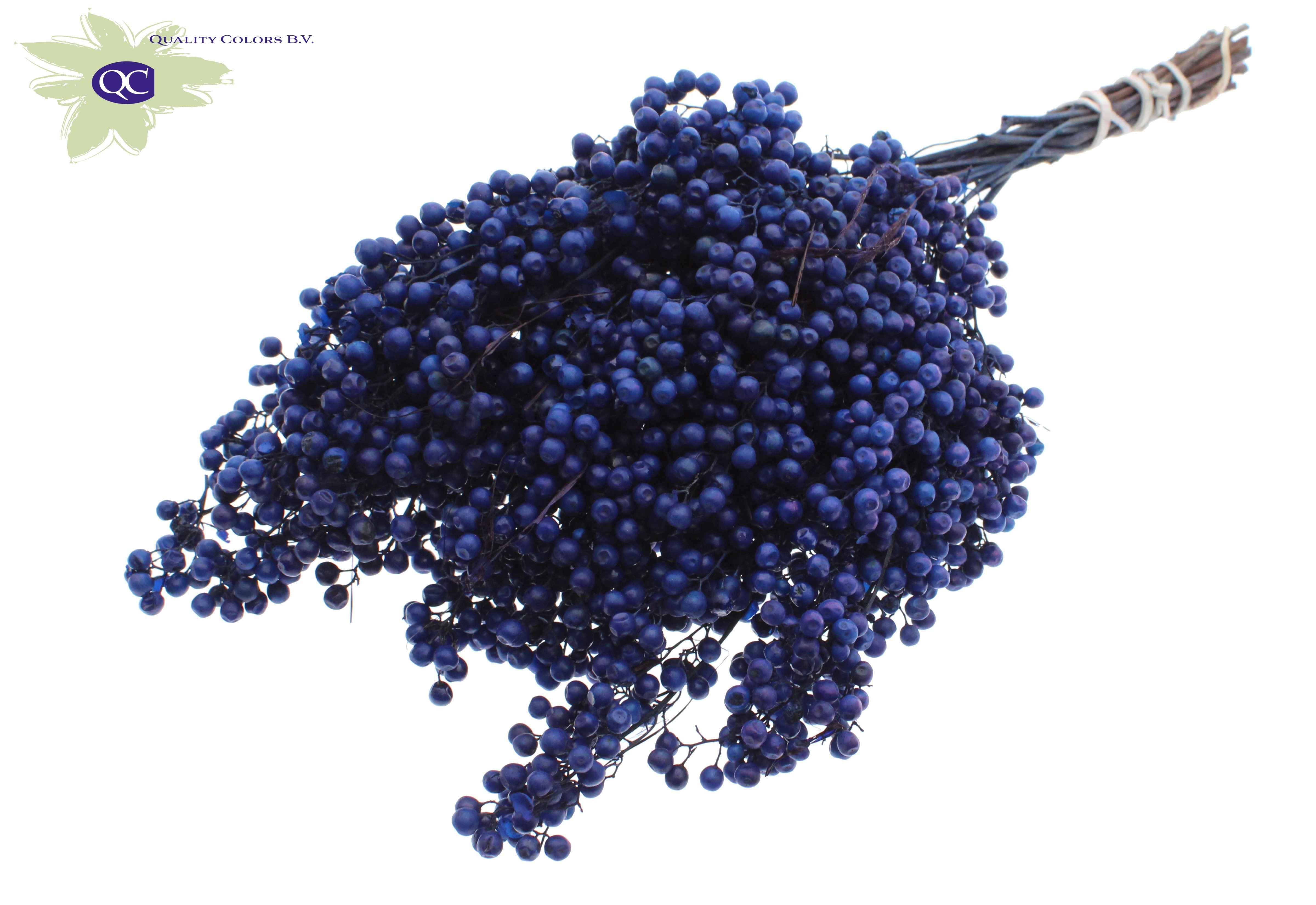 Срезанные цветы оптом Pepperberries per bunch in poly dark blue от 5шт из Голландии с доставкой по России