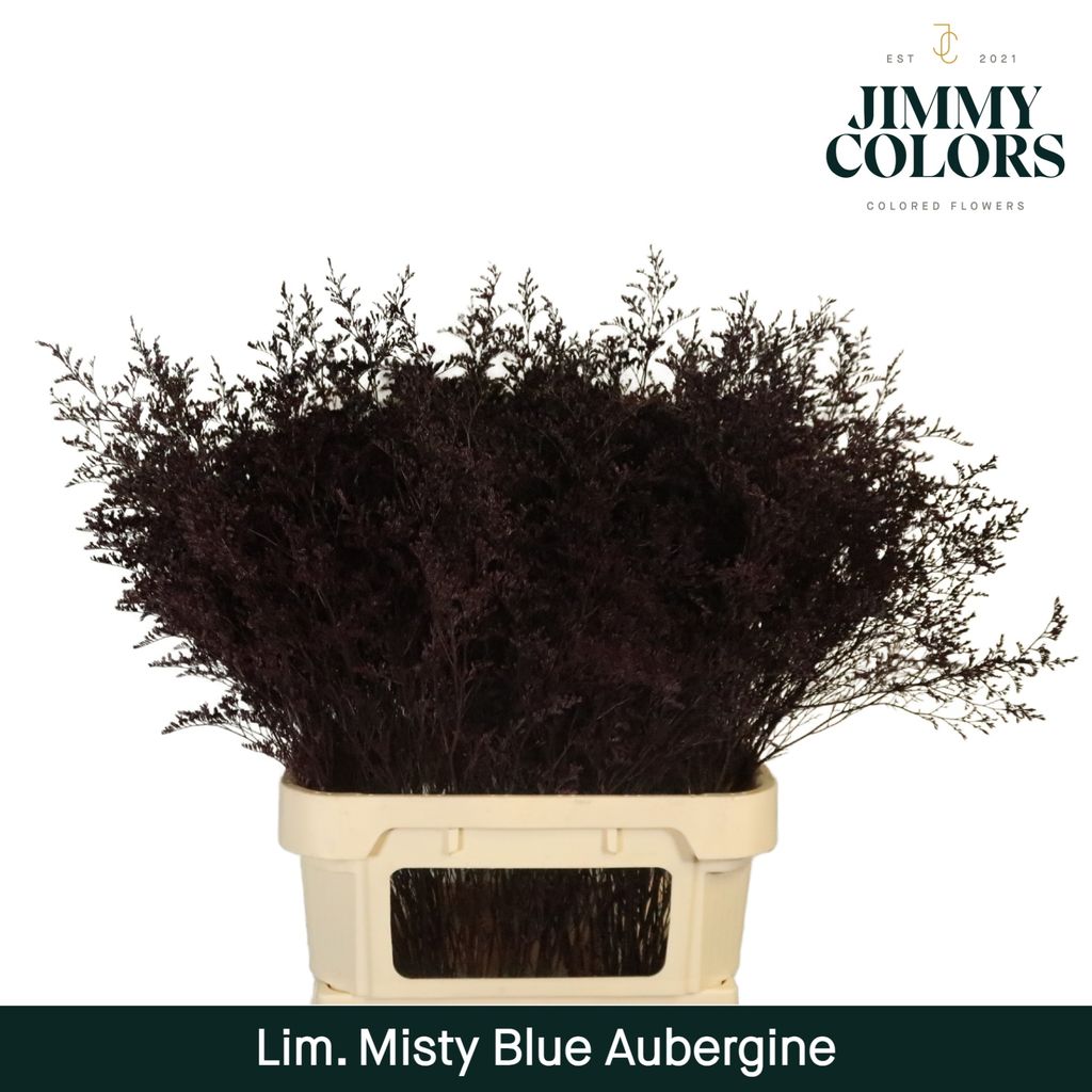 Срезанные цветы оптом Limonium misty blue paint aubergin от 50шт из Голландии с доставкой по России