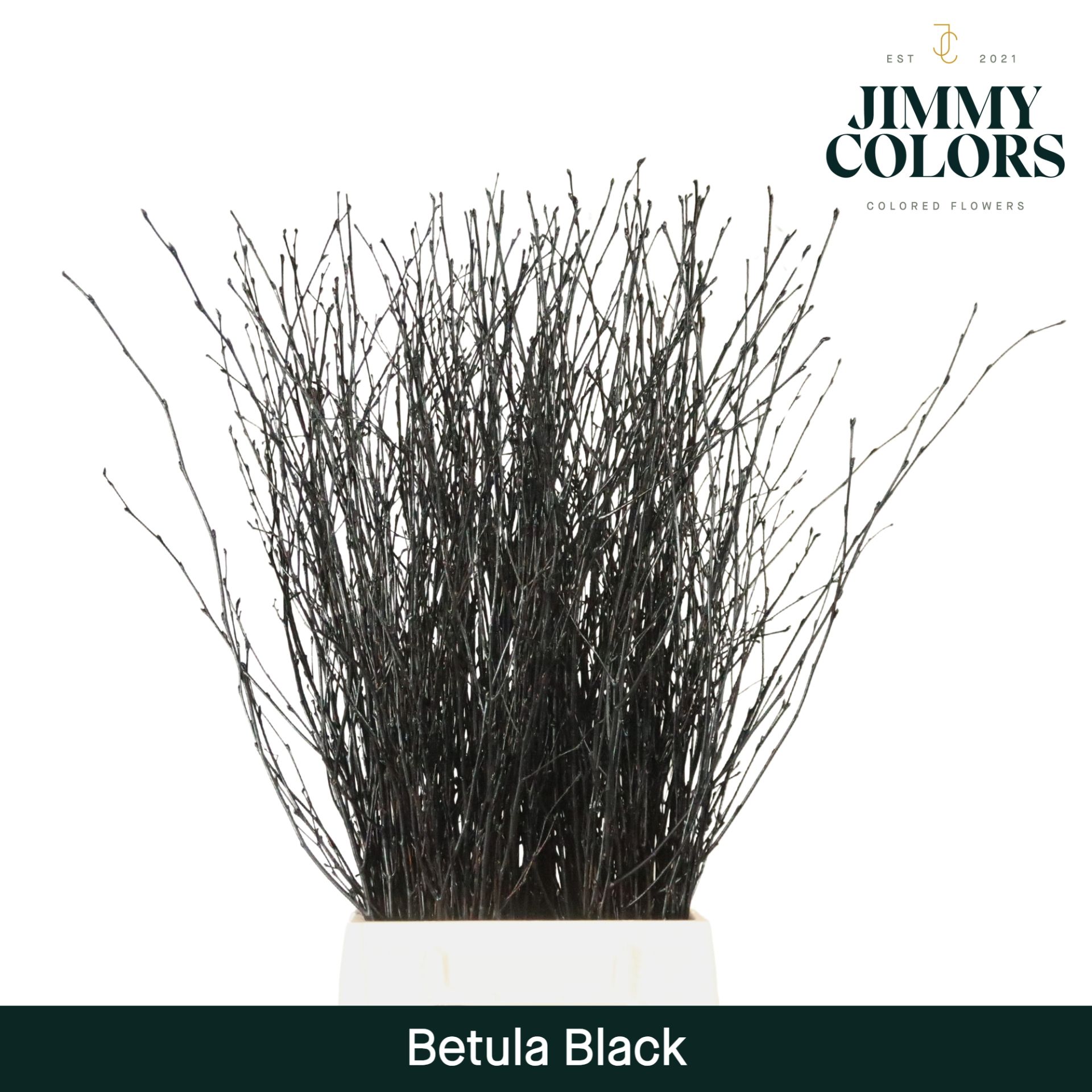 Срезанные цветы оптом Betula paint black от 20шт из Голландии с доставкой по России