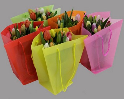 Срезанные цветы оптом Tulipa si tasjes mix от 10шт из Голландии с доставкой по России