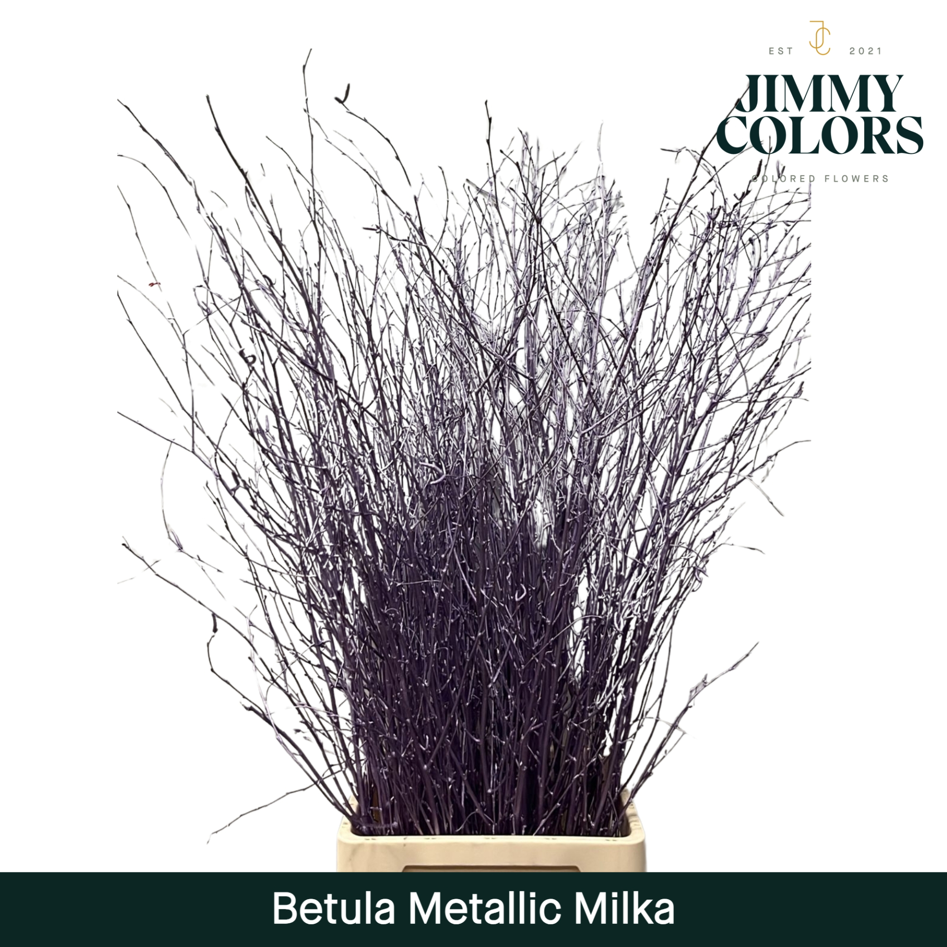 Срезанные цветы оптом Betula paint metallic milka от 10шт из Голландии с доставкой по России