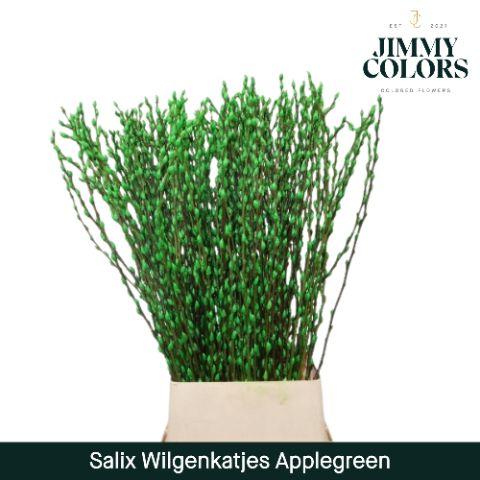 Срезанные цветы оптом Salix paint pussy willow applegreen от 100шт из Голландии с доставкой по России