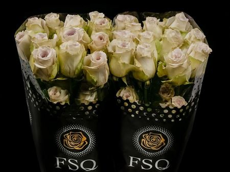 Срезанные цветы оптом Rosa ec early grey от 40шт из Голландии с доставкой по России